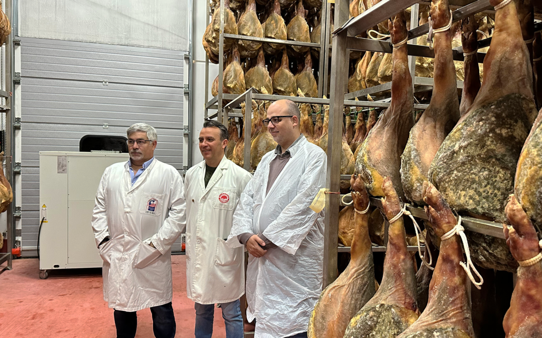 Jamón de Teruel DOP, descubre esta Joya Gastronómica